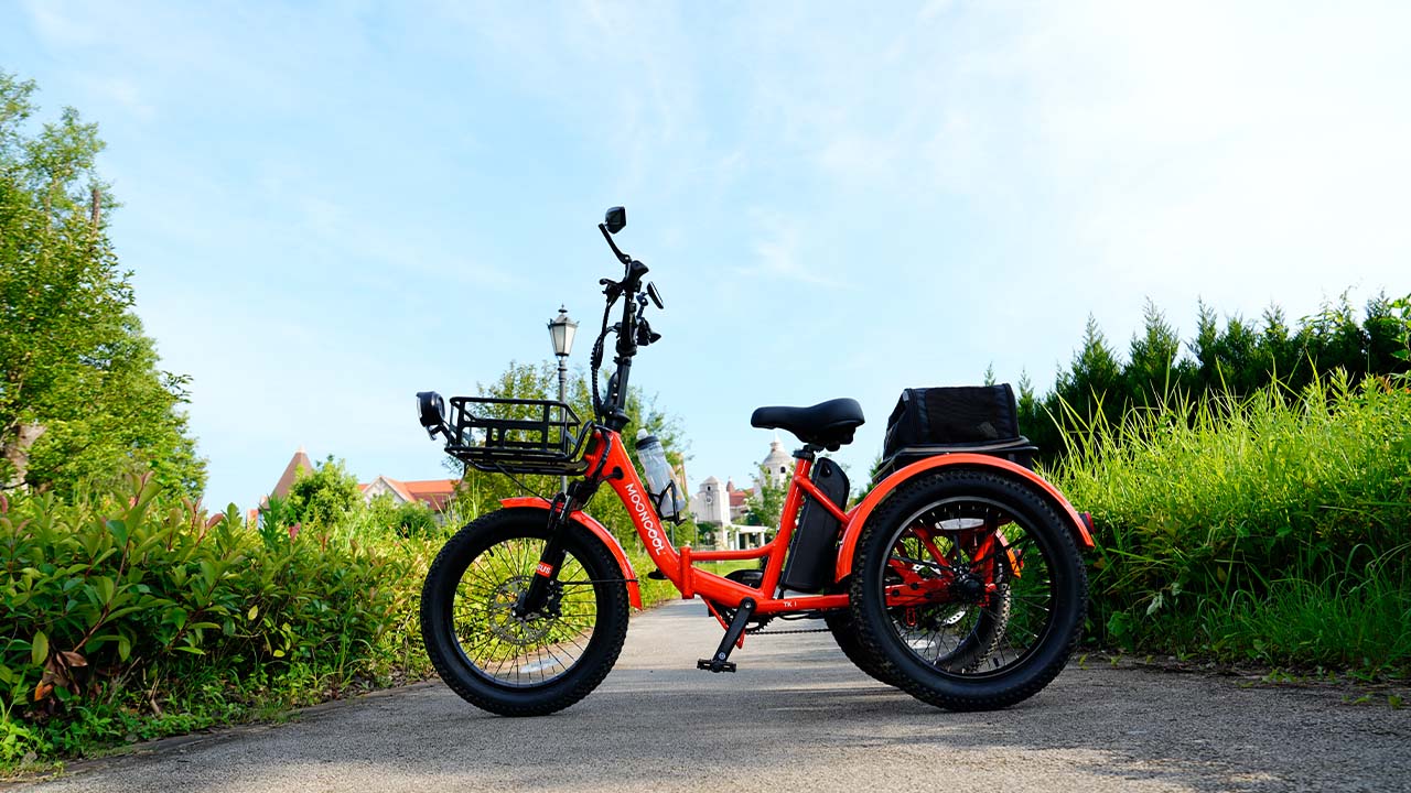 Insights Into Trending Electric Trike Accessories for 2025