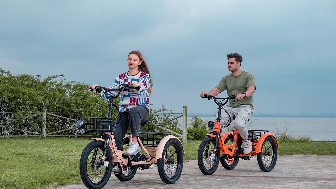 Are Electric Trikes Truly an Economical Choice?