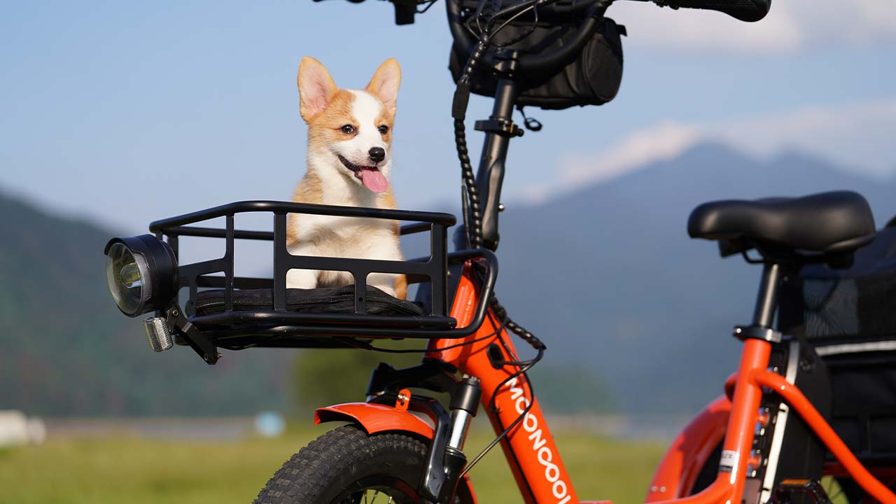 Essential Accessories for Customizing Your Electric Trike